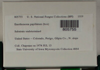 Image Associated With the Occurence